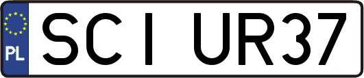 SCIUR37