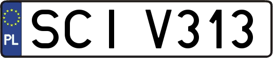 SCIV313