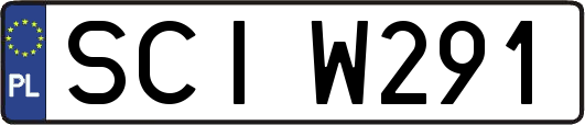 SCIW291