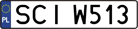 SCIW513