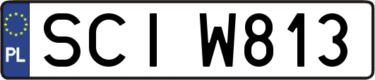 SCIW813
