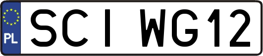 SCIWG12
