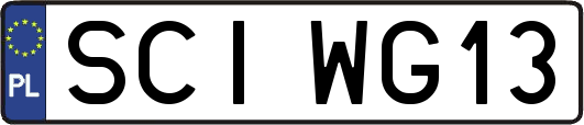 SCIWG13