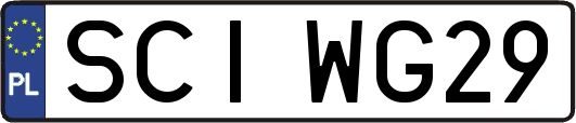 SCIWG29