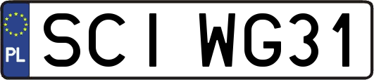 SCIWG31