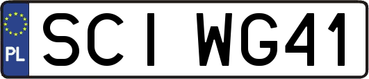 SCIWG41