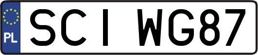 SCIWG87