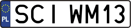 SCIWM13
