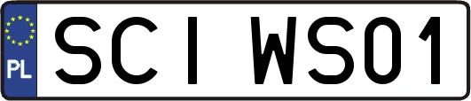 SCIWS01