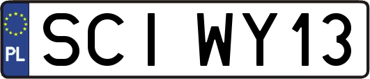 SCIWY13