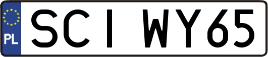 SCIWY65