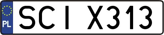 SCIX313