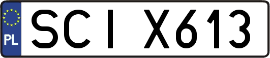 SCIX613