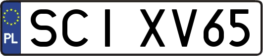 SCIXV65