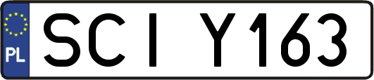 SCIY163
