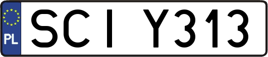 SCIY313