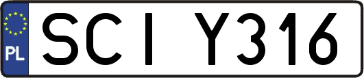 SCIY316