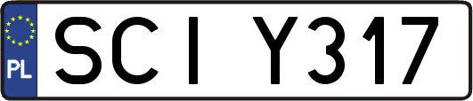 SCIY317
