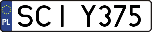 SCIY375