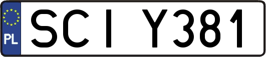 SCIY381