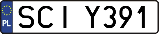 SCIY391