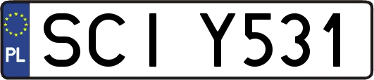 SCIY531