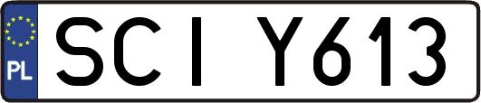 SCIY613