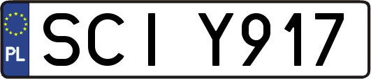 SCIY917