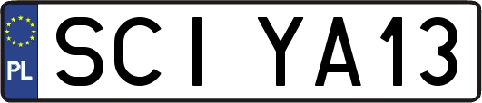 SCIYA13