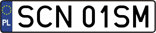 SCN01SM
