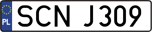 SCNJ309