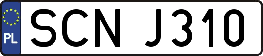 SCNJ310