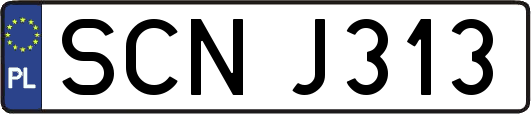 SCNJ313
