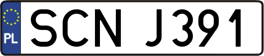 SCNJ391