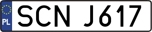 SCNJ617
