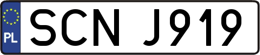SCNJ919