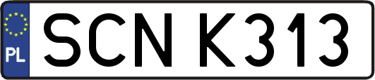 SCNK313