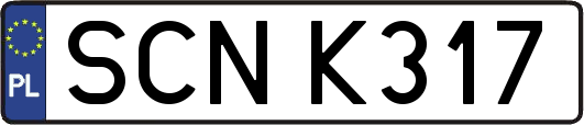SCNK317