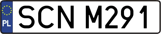 SCNM291