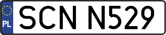 SCNN529