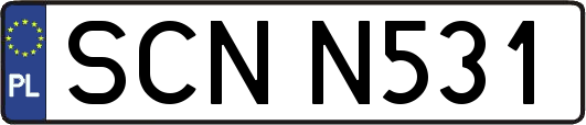 SCNN531