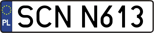 SCNN613