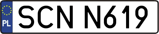 SCNN619