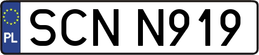 SCNN919