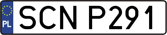 SCNP291