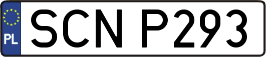 SCNP293