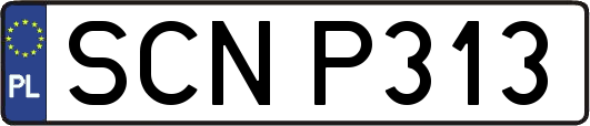 SCNP313