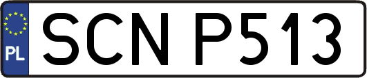 SCNP513