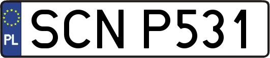 SCNP531