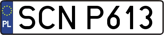 SCNP613